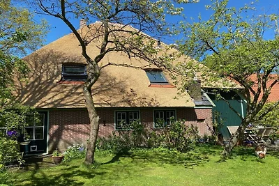 Ferienhaus in GROET mit Schwimmbecken