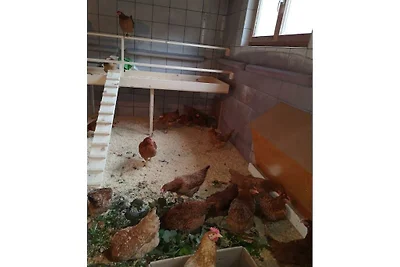 Ferienwohnung in Kappl mit Schwimmbecken