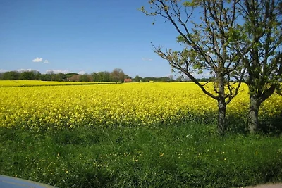 Ferienwohnung mit 2 Schlafzimmer