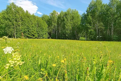 5 Sterne Ferienhaus in LIKENÄS