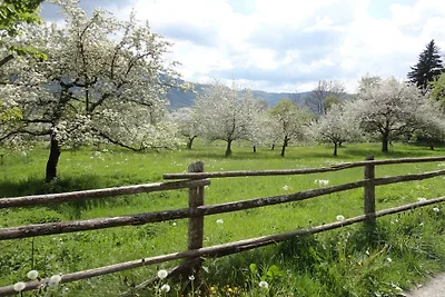 Landhaus Arztmann - Fewo Linde