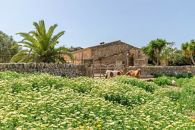 Boerderij in Campos met terras