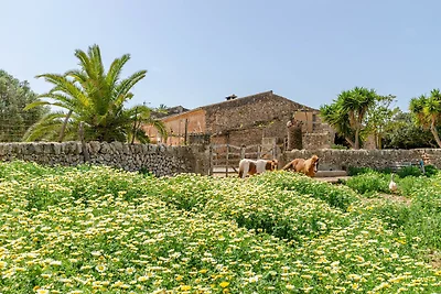 Agriturismo a Campos con terrazza