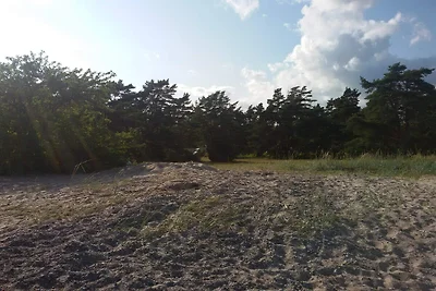 6 Personen Ferienhaus in Ljugarn-By Traum