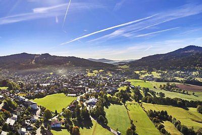 Ferienwohnungen, Bodenmais