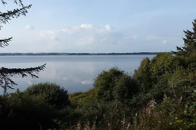 8 persoons vakantie huis in Skals
