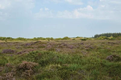 6 Personen Ferienhaus in Toftlund-By Traum