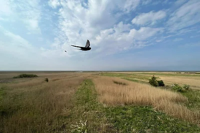 8 persone case ad Ulfborg