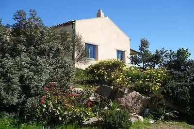 Villa in Olbia mit Schwimmbecken