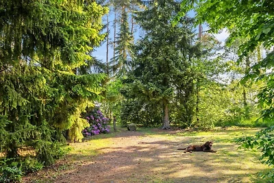 Ferienhaus mit 3 Schlafzimmer