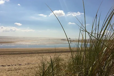 Neptunus in de Amrum-golf