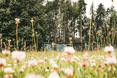 Hütte in Rochefort nahe Golf von Morbihan
