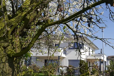 Frühburgunder en la casa de vacaciones...