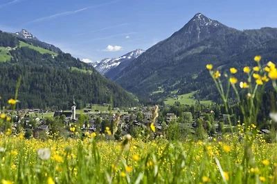 Appartementhaus Isegrim, Altenmarkt