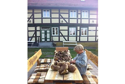 Ferienhaus in Tanne mit Schwimmbecken