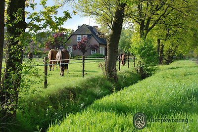 Schönes Ferienhaus in Leende mit geschlossene...