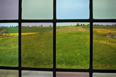 Ferienhaus mit Garten und Außengrill