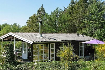Charmantes Ferienhaus in Jütland mit Terrasse