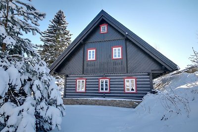 Villa in Horni Marsov met tuin