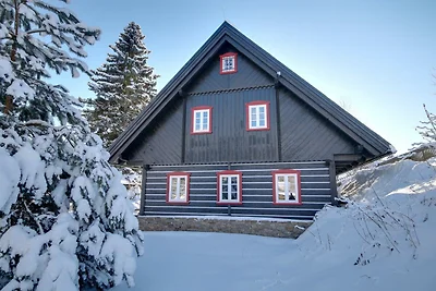 Villa in Horni Marsov mit Garten