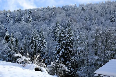 Bodenschneidsuiten "Das Gschwandler"