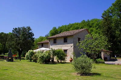 Modernes Ferienhaus mit Garten