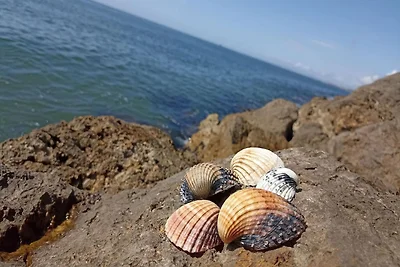 Strandwohnung, Schlafmöglichkeiten für 6
