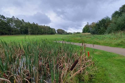 8 persone case ad Gjern