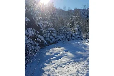 Zur urigen Kiefer