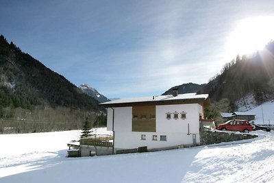 Apartment in St. Gallenkirch nahe Skigebiet