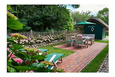 Objekt 55  || South End