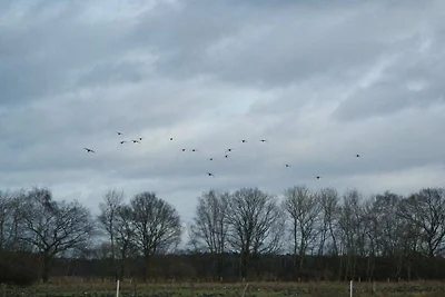 FeWo Dingdener Heide