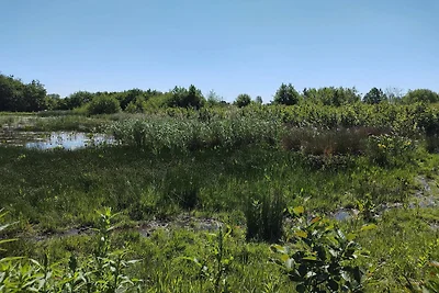 8 Personen Ferienhaus in Præstø