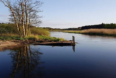 5 Personen Ferienhaus in Fårvang-By Traum