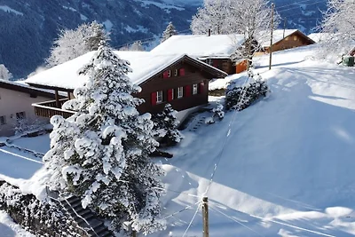Chalet Rainhöckli