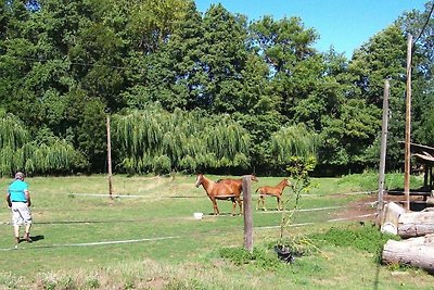 Vakantiewoning, Retournac-voorheen TUI...