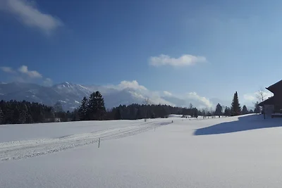 Hut in Ofterschwang met zwembad