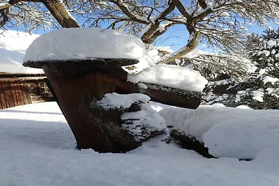Cascina a Weißpriach vicino ai laghi
