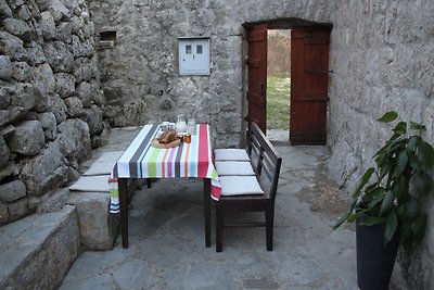 Geräumiges Ferienhaus in Brotnice, Dalmatien,...