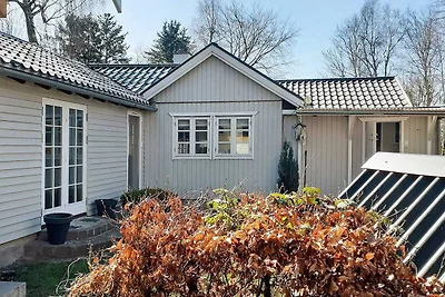 6 persone case ad Taastrup-By Traum