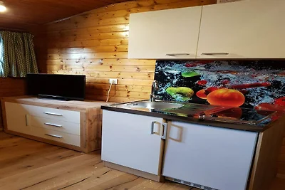 Appartamento vicino alle terme di Romerbad