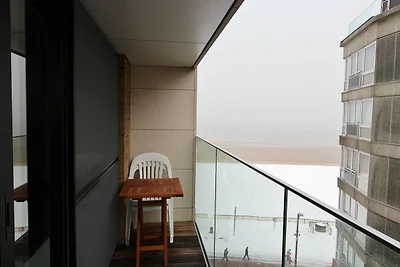 Studio in Het Zoute mit Meerblick
