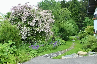 Landgoed Rocky Docky