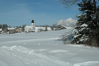 Hut in Ofterschwang met zwembad