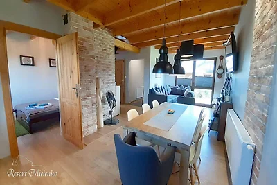 Comfortabel vakantiehuis met sauna en...