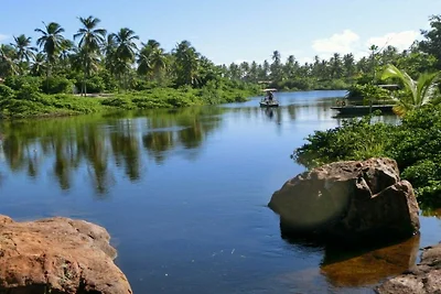 Villa Cactus Salvador Brasilien