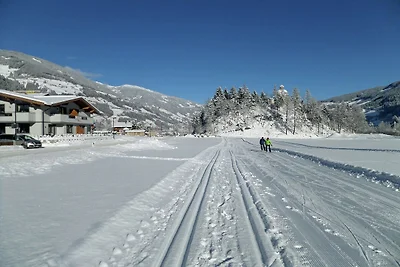 Chalet w Mayrhofen blisko Penkenbahn