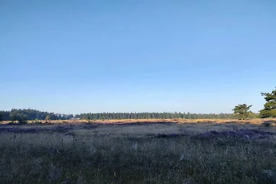 6 Personen Ferienhaus in Hovborg-By Traum