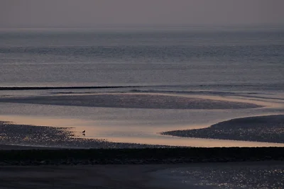 Seehund Komfortable Ferienresidenz