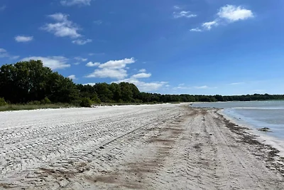 4 Sterne Ferienhaus in SÖLVESBORG